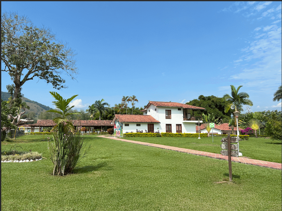 campo6